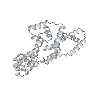 41100_8t8o_J_v1-0
CCW Flagellar Switch Complex - FliF, FliG, FliM, and FliN forming 34-mer C-ring from Salmonella