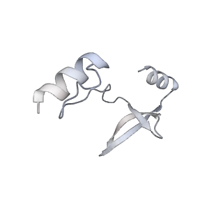 41100_8t8o_KA_v1-0
CCW Flagellar Switch Complex - FliF, FliG, FliM, and FliN forming 34-mer C-ring from Salmonella