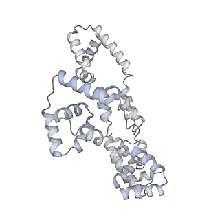 41100_8t8o_KB_v1-0
CCW Flagellar Switch Complex - FliF, FliG, FliM, and FliN forming 34-mer C-ring from Salmonella