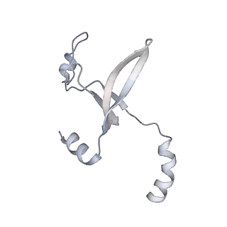 41100_8t8o_KC_v1-0
CCW Flagellar Switch Complex - FliF, FliG, FliM, and FliN forming 34-mer C-ring from Salmonella