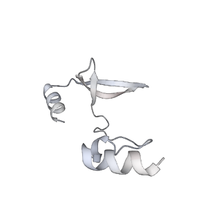 41100_8t8o_KD_v1-0
CCW Flagellar Switch Complex - FliF, FliG, FliM, and FliN forming 34-mer C-ring from Salmonella