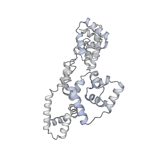 41100_8t8o_KE_v1-0
CCW Flagellar Switch Complex - FliF, FliG, FliM, and FliN forming 34-mer C-ring from Salmonella