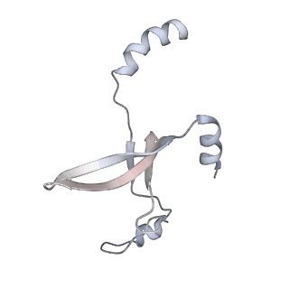 41100_8t8o_KF_v1-0
CCW Flagellar Switch Complex - FliF, FliG, FliM, and FliN forming 34-mer C-ring from Salmonella