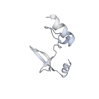 41100_8t8o_KG_v1-0
CCW Flagellar Switch Complex - FliF, FliG, FliM, and FliN forming 34-mer C-ring from Salmonella