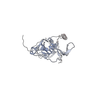 41100_8t8o_K_v1-0
CCW Flagellar Switch Complex - FliF, FliG, FliM, and FliN forming 34-mer C-ring from Salmonella