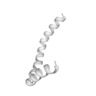 41100_8t8o_LA_v1-0
CCW Flagellar Switch Complex - FliF, FliG, FliM, and FliN forming 34-mer C-ring from Salmonella