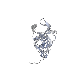 41100_8t8o_LB_v1-0
CCW Flagellar Switch Complex - FliF, FliG, FliM, and FliN forming 34-mer C-ring from Salmonella