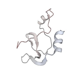 41100_8t8o_LC_v1-0
CCW Flagellar Switch Complex - FliF, FliG, FliM, and FliN forming 34-mer C-ring from Salmonella