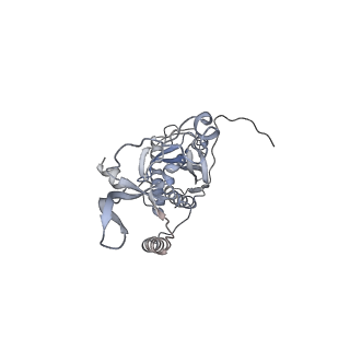 41100_8t8o_LE_v1-0
CCW Flagellar Switch Complex - FliF, FliG, FliM, and FliN forming 34-mer C-ring from Salmonella