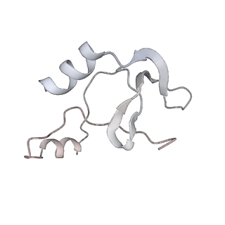 41100_8t8o_LF_v1-0
CCW Flagellar Switch Complex - FliF, FliG, FliM, and FliN forming 34-mer C-ring from Salmonella