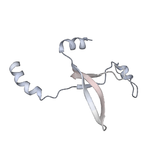 41100_8t8o_L_v1-0
CCW Flagellar Switch Complex - FliF, FliG, FliM, and FliN forming 34-mer C-ring from Salmonella