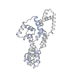 41100_8t8o_MA_v1-0
CCW Flagellar Switch Complex - FliF, FliG, FliM, and FliN forming 34-mer C-ring from Salmonella