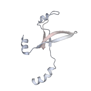 41100_8t8o_MB_v1-0
CCW Flagellar Switch Complex - FliF, FliG, FliM, and FliN forming 34-mer C-ring from Salmonella