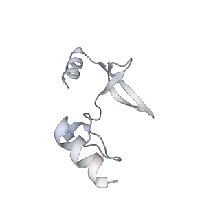 41100_8t8o_MC_v1-0
CCW Flagellar Switch Complex - FliF, FliG, FliM, and FliN forming 34-mer C-ring from Salmonella