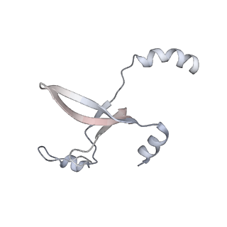 41100_8t8o_ME_v1-0
CCW Flagellar Switch Complex - FliF, FliG, FliM, and FliN forming 34-mer C-ring from Salmonella