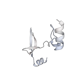 41100_8t8o_MF_v1-0
CCW Flagellar Switch Complex - FliF, FliG, FliM, and FliN forming 34-mer C-ring from Salmonella