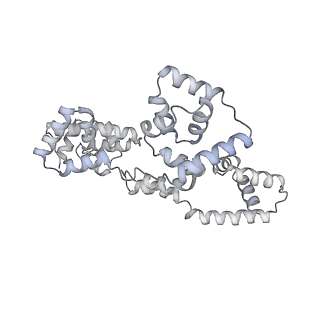 41100_8t8o_MG_v1-0
CCW Flagellar Switch Complex - FliF, FliG, FliM, and FliN forming 34-mer C-ring from Salmonella