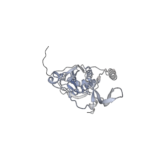 41100_8t8o_M_v1-0
CCW Flagellar Switch Complex - FliF, FliG, FliM, and FliN forming 34-mer C-ring from Salmonella