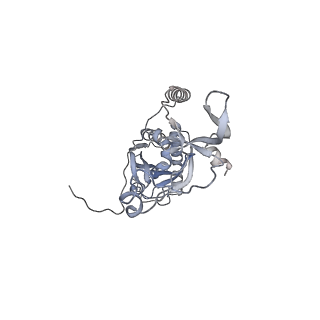 41100_8t8o_NA_v1-0
CCW Flagellar Switch Complex - FliF, FliG, FliM, and FliN forming 34-mer C-ring from Salmonella