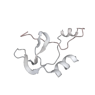 41100_8t8o_NB_v1-0
CCW Flagellar Switch Complex - FliF, FliG, FliM, and FliN forming 34-mer C-ring from Salmonella