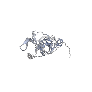 41100_8t8o_ND_v1-0
CCW Flagellar Switch Complex - FliF, FliG, FliM, and FliN forming 34-mer C-ring from Salmonella