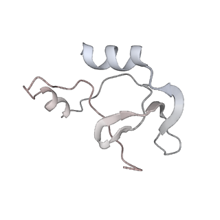 41100_8t8o_NE_v1-0
CCW Flagellar Switch Complex - FliF, FliG, FliM, and FliN forming 34-mer C-ring from Salmonella