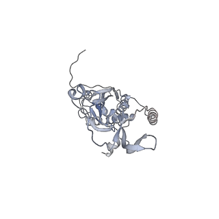 41100_8t8o_NG_v1-0
CCW Flagellar Switch Complex - FliF, FliG, FliM, and FliN forming 34-mer C-ring from Salmonella