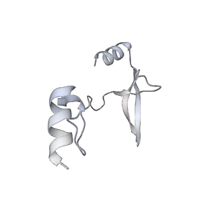 41100_8t8o_OB_v1-0
CCW Flagellar Switch Complex - FliF, FliG, FliM, and FliN forming 34-mer C-ring from Salmonella