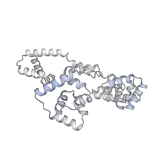 41100_8t8o_OC_v1-0
CCW Flagellar Switch Complex - FliF, FliG, FliM, and FliN forming 34-mer C-ring from Salmonella