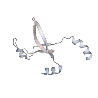 41100_8t8o_OD_v1-0
CCW Flagellar Switch Complex - FliF, FliG, FliM, and FliN forming 34-mer C-ring from Salmonella