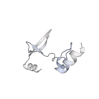 41100_8t8o_OE_v1-0
CCW Flagellar Switch Complex - FliF, FliG, FliM, and FliN forming 34-mer C-ring from Salmonella