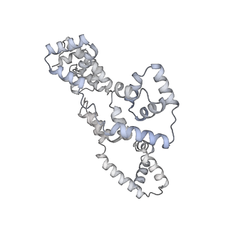 41100_8t8o_OF_v1-0
CCW Flagellar Switch Complex - FliF, FliG, FliM, and FliN forming 34-mer C-ring from Salmonella