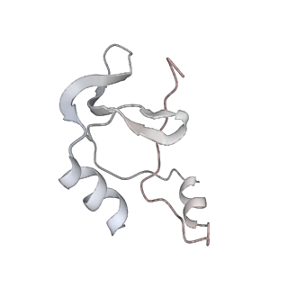 41100_8t8o_O_v1-0
CCW Flagellar Switch Complex - FliF, FliG, FliM, and FliN forming 34-mer C-ring from Salmonella