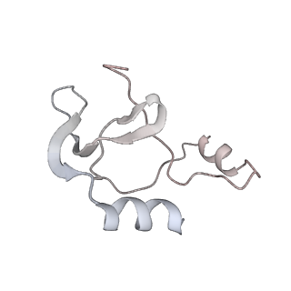 41100_8t8o_PA_v1-0
CCW Flagellar Switch Complex - FliF, FliG, FliM, and FliN forming 34-mer C-ring from Salmonella