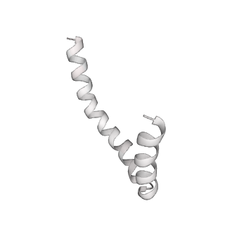 41100_8t8o_PB_v1-0
CCW Flagellar Switch Complex - FliF, FliG, FliM, and FliN forming 34-mer C-ring from Salmonella