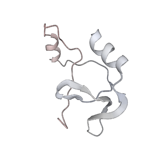 41100_8t8o_PD_v1-0
CCW Flagellar Switch Complex - FliF, FliG, FliM, and FliN forming 34-mer C-ring from Salmonella