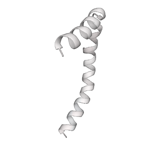 41100_8t8o_PE_v1-0
CCW Flagellar Switch Complex - FliF, FliG, FliM, and FliN forming 34-mer C-ring from Salmonella