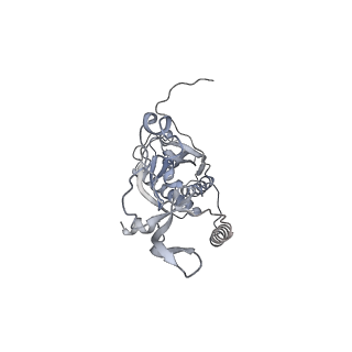 41100_8t8o_PF_v1-0
CCW Flagellar Switch Complex - FliF, FliG, FliM, and FliN forming 34-mer C-ring from Salmonella