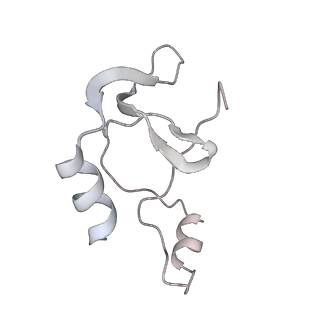 41100_8t8o_P_v1-0
CCW Flagellar Switch Complex - FliF, FliG, FliM, and FliN forming 34-mer C-ring from Salmonella