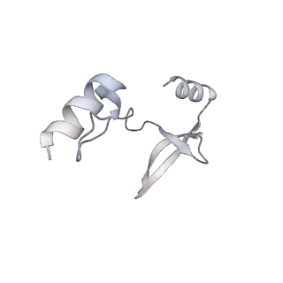 41100_8t8o_QA_v1-0
CCW Flagellar Switch Complex - FliF, FliG, FliM, and FliN forming 34-mer C-ring from Salmonella