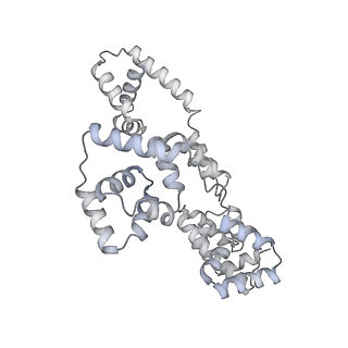 41100_8t8o_QB_v1-0
CCW Flagellar Switch Complex - FliF, FliG, FliM, and FliN forming 34-mer C-ring from Salmonella