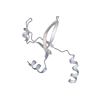 41100_8t8o_QC_v1-0
CCW Flagellar Switch Complex - FliF, FliG, FliM, and FliN forming 34-mer C-ring from Salmonella