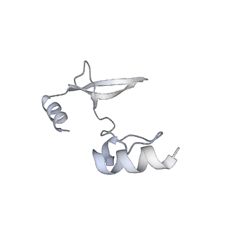 41100_8t8o_QD_v1-0
CCW Flagellar Switch Complex - FliF, FliG, FliM, and FliN forming 34-mer C-ring from Salmonella