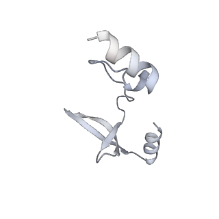 41100_8t8o_QG_v1-0
CCW Flagellar Switch Complex - FliF, FliG, FliM, and FliN forming 34-mer C-ring from Salmonella