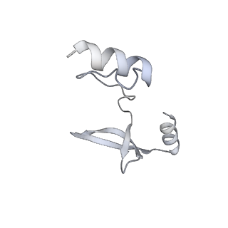 41100_8t8o_Q_v1-0
CCW Flagellar Switch Complex - FliF, FliG, FliM, and FliN forming 34-mer C-ring from Salmonella
