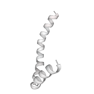 41100_8t8o_RA_v1-0
CCW Flagellar Switch Complex - FliF, FliG, FliM, and FliN forming 34-mer C-ring from Salmonella