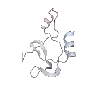 41100_8t8o_RC_v1-0
CCW Flagellar Switch Complex - FliF, FliG, FliM, and FliN forming 34-mer C-ring from Salmonella