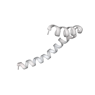 41100_8t8o_RD_v1-0
CCW Flagellar Switch Complex - FliF, FliG, FliM, and FliN forming 34-mer C-ring from Salmonella