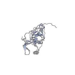 41100_8t8o_RE_v1-0
CCW Flagellar Switch Complex - FliF, FliG, FliM, and FliN forming 34-mer C-ring from Salmonella