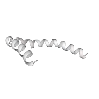 41100_8t8o_RG_v1-0
CCW Flagellar Switch Complex - FliF, FliG, FliM, and FliN forming 34-mer C-ring from Salmonella